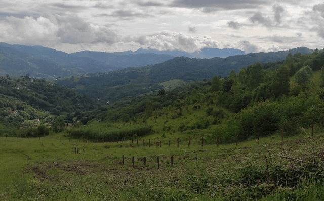 Carbon2Mine comienza los ensayos de gestión forestal y pastoral en terrenos mineros para mitigar el cambio climático